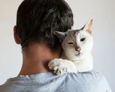 How Cats Learn to Trust