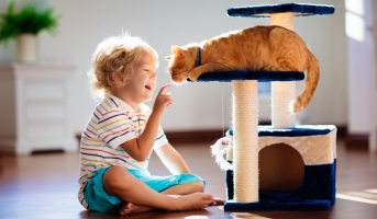 Understanding Cat-Child Dynamics
