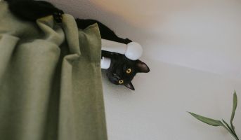 Cat hiding under furniture