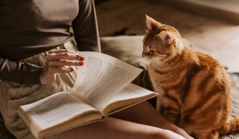 Cat Life Stages
