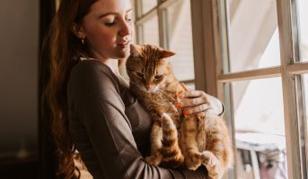 Cat Behaviour Changes