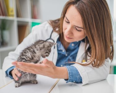 Advances in Pain Detection