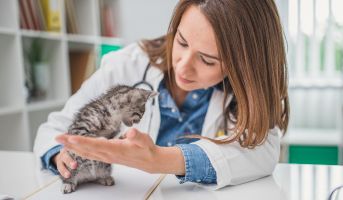 Pain Detection Tools