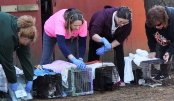 TNR Success